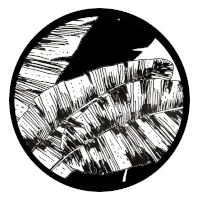 Módulos sobre el bosque.