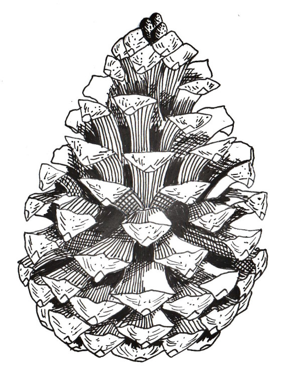 Stay tuned for our next modular drawing adventure!